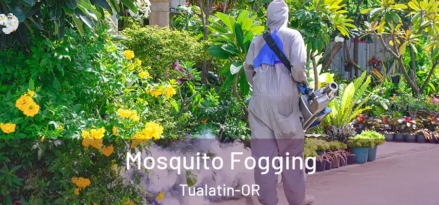 Mosquito Fogging Tualatin-OR