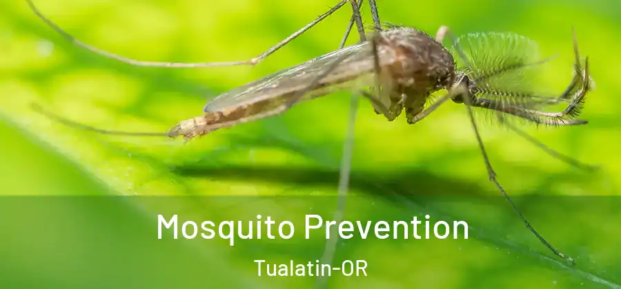 Mosquito Prevention Tualatin-OR