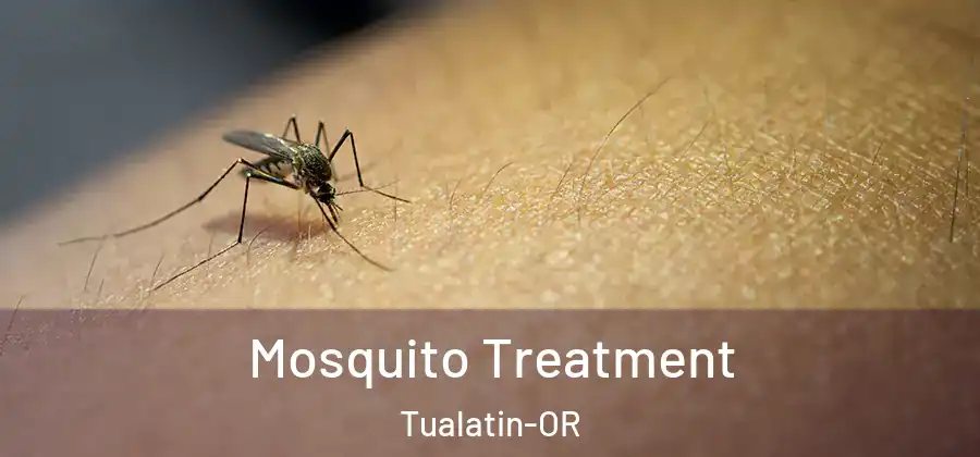 Mosquito Treatment Tualatin-OR