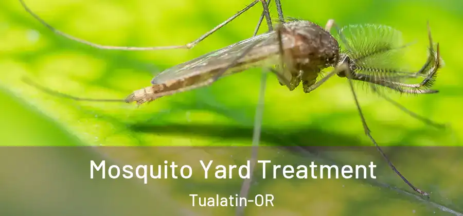  Mosquito Yard Treatment Tualatin-OR