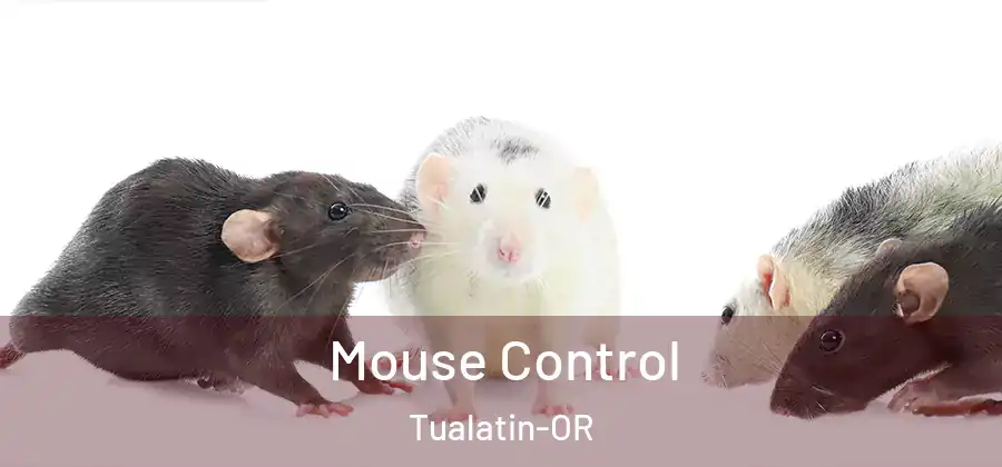 Mouse Control Tualatin-OR