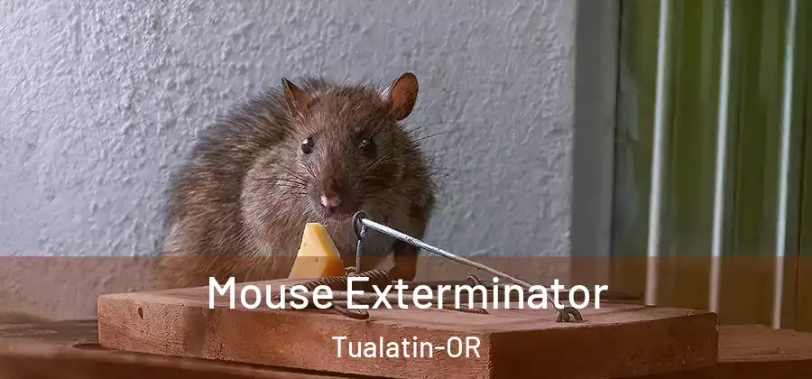 Mouse Exterminator Tualatin-OR