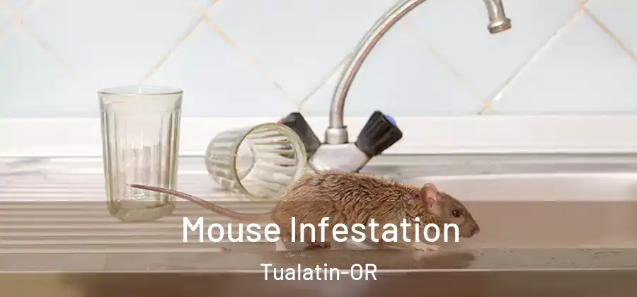 Mouse Infestation Tualatin-OR