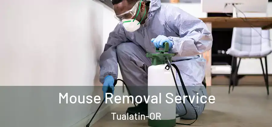  Mouse Removal Service Tualatin-OR