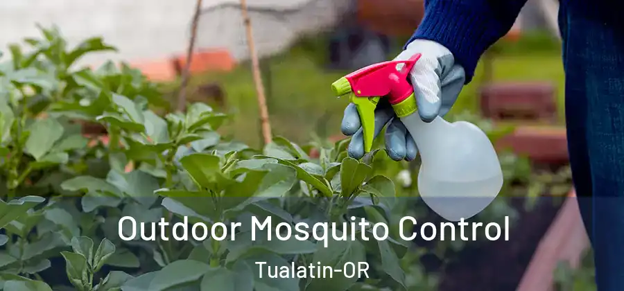 Outdoor Mosquito Control Tualatin-OR