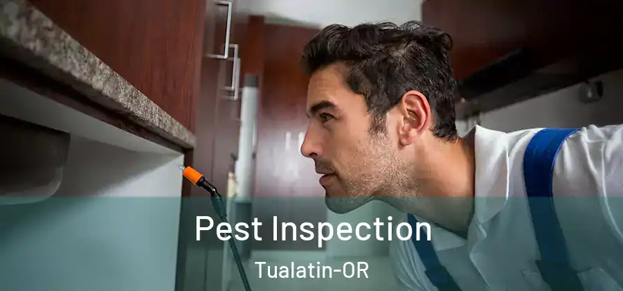 Pest Inspection Tualatin-OR