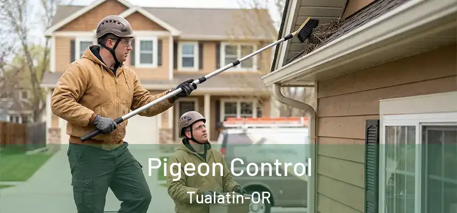 Pigeon Control Tualatin-OR