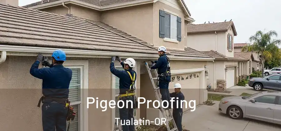 Pigeon Proofing Tualatin-OR