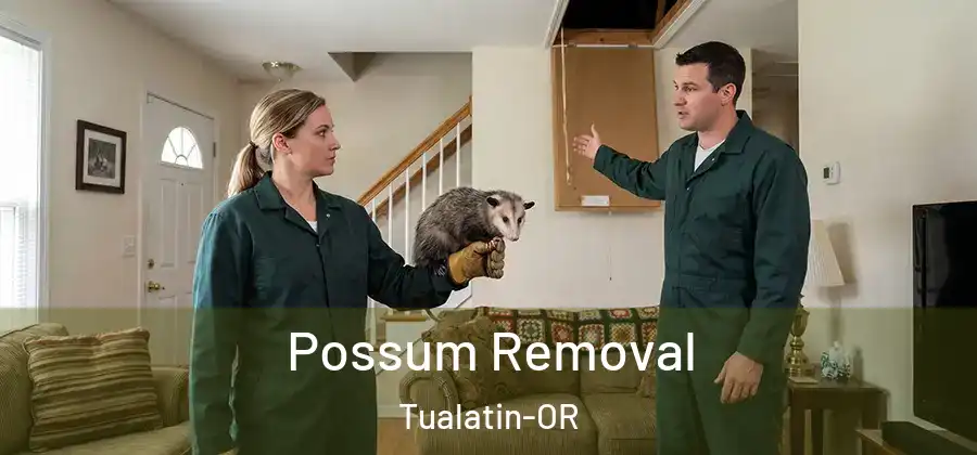 Possum Removal Tualatin-OR