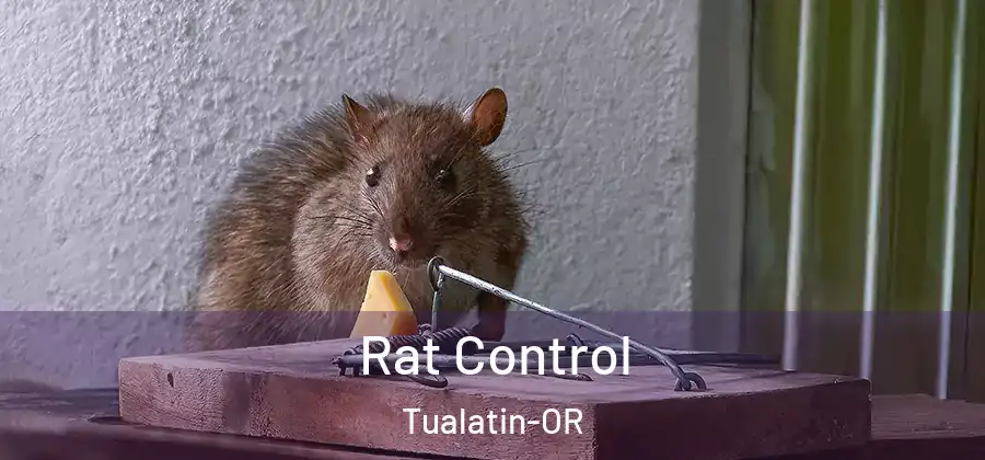  Rat Control Tualatin-OR
