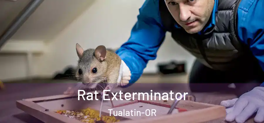  Rat Exterminator Tualatin-OR