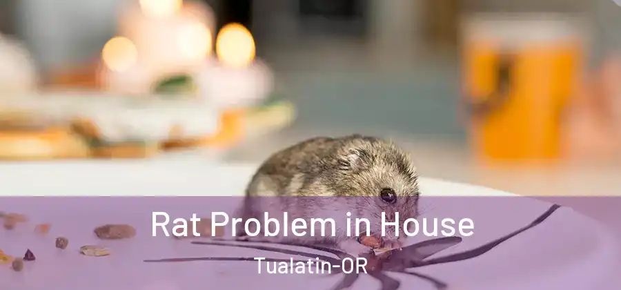  Rat Problem in House Tualatin-OR