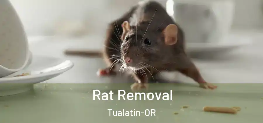 Rat Removal Tualatin-OR