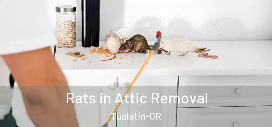 Rats in Attic Removal Tualatin-OR