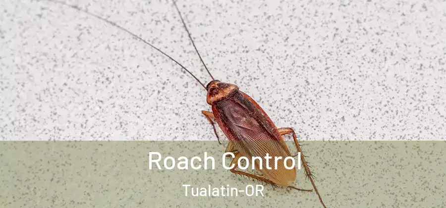 Roach Control Tualatin-OR
