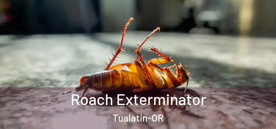 Roach Exterminator Tualatin-OR