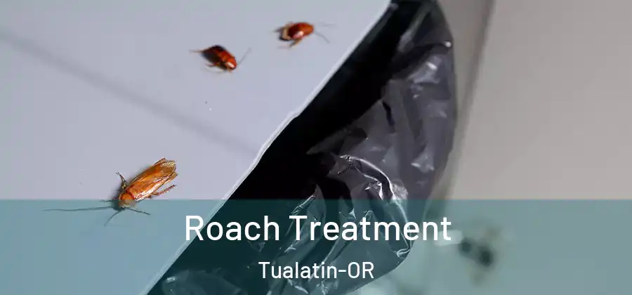 Roach Treatment Tualatin-OR