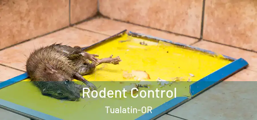 Rodent Control Tualatin-OR