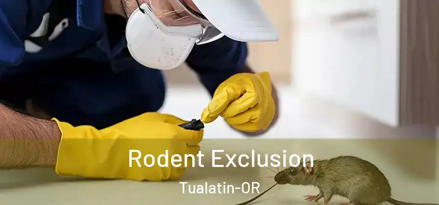 Rodent Exclusion Tualatin-OR