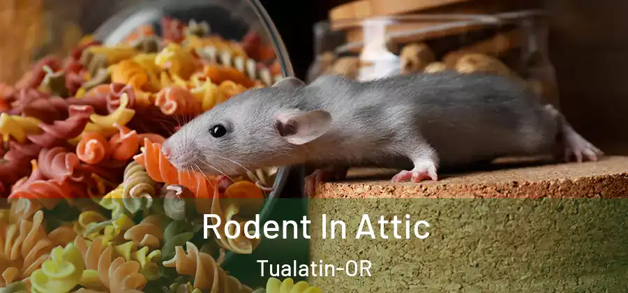  Rodent In Attic Tualatin-OR