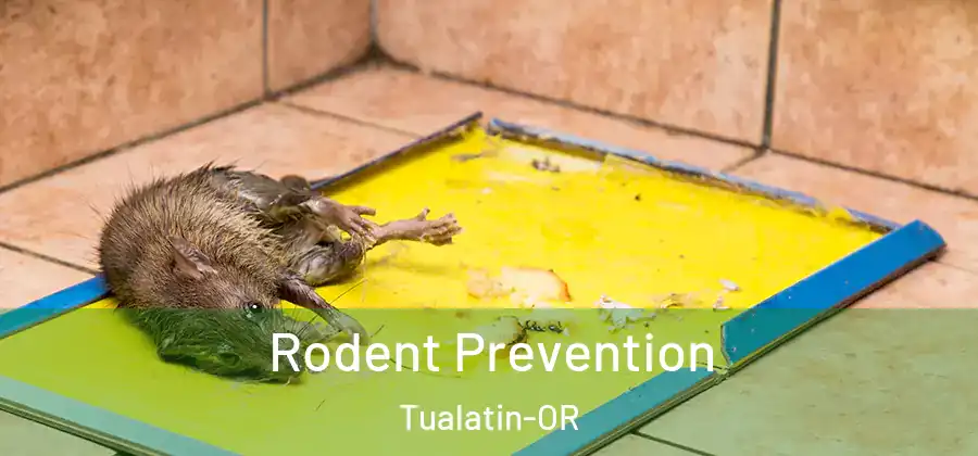 Rodent Prevention Tualatin-OR