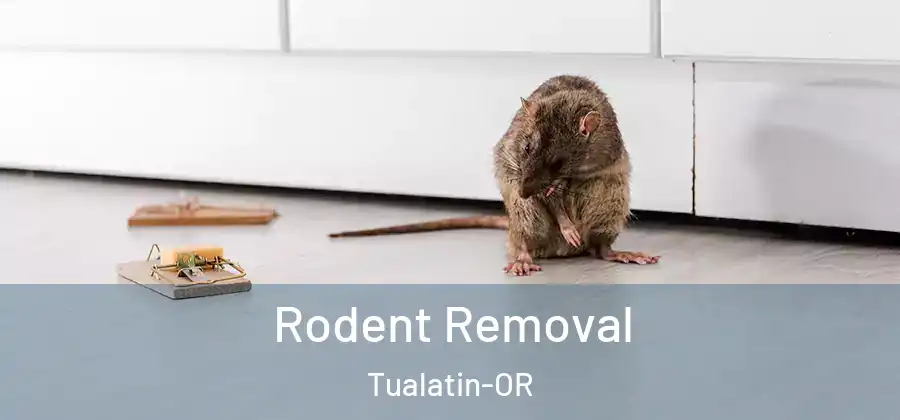 Rodent Removal Tualatin-OR