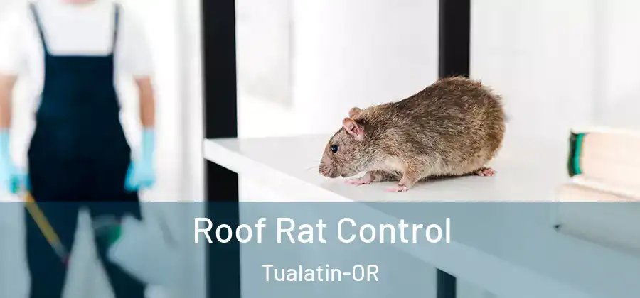 Roof Rat Control Tualatin-OR