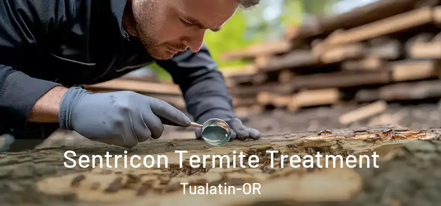  Sentricon Termite Treatment Tualatin-OR