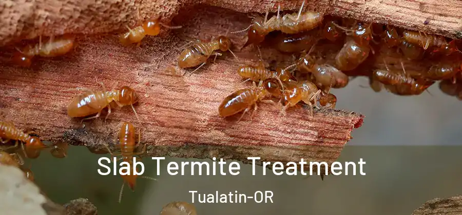  Slab Termite Treatment Tualatin-OR