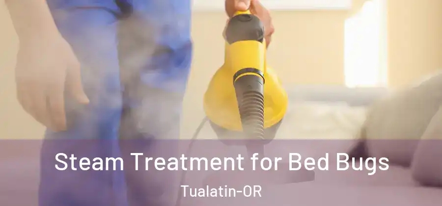 Steam Treatment for Bed Bugs Tualatin-OR