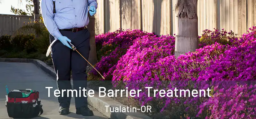 Termite Barrier Treatment Tualatin-OR