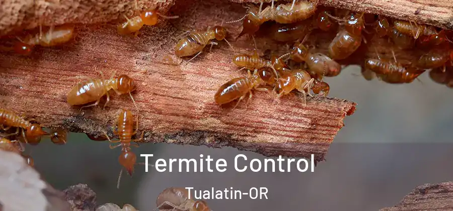 Termite Control Tualatin-OR