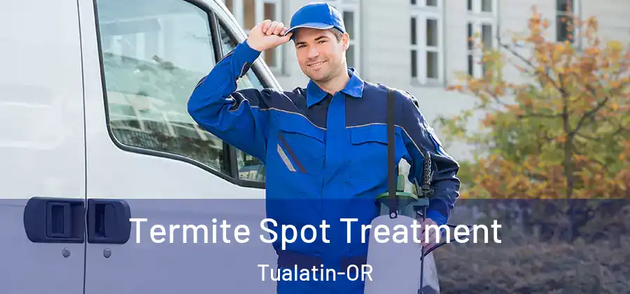 Termite Spot Treatment Tualatin-OR