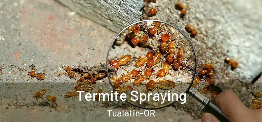 Termite Spraying Tualatin-OR
