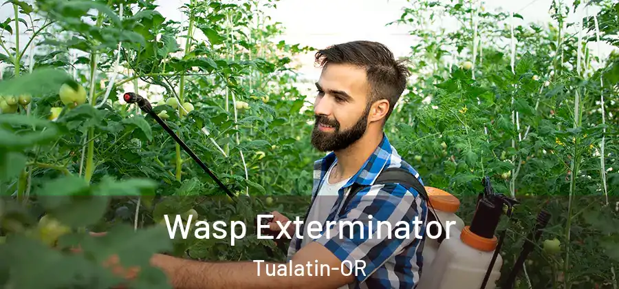 Wasp Exterminator Tualatin-OR