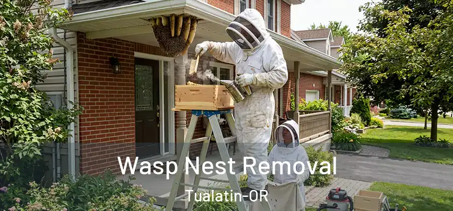 Wasp Nest Removal Tualatin-OR