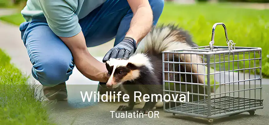  Wildlife Removal Tualatin-OR
