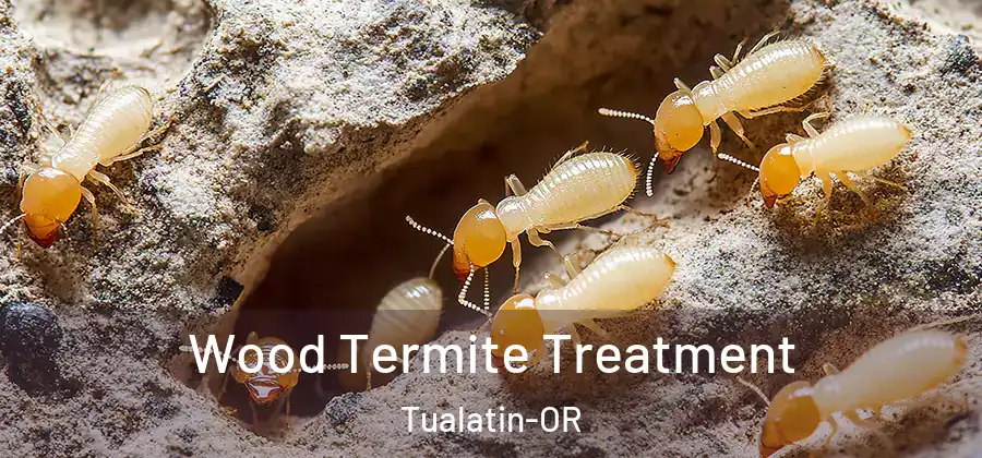  Wood Termite Treatment Tualatin-OR