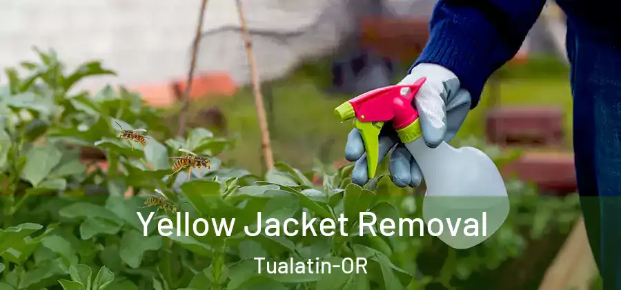 Yellow Jacket Removal Tualatin-OR